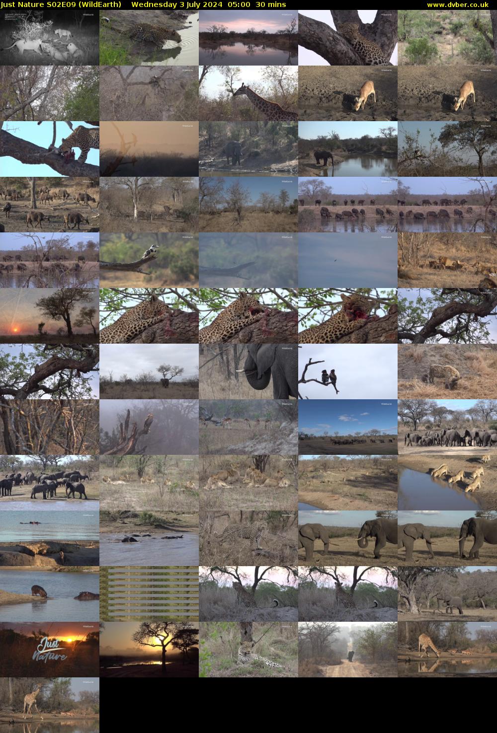 Just Nature S02E09 (WildEarth) Wednesday 3 July 2024 05:00 - 05:30