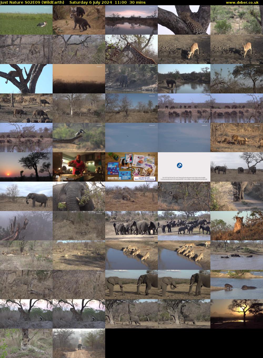 Just Nature S02E09 (WildEarth) Saturday 6 July 2024 11:00 - 11:30