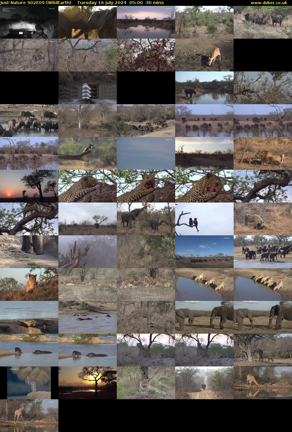 Just Nature S02E09 (WildEarth) Tuesday 16 July 2024 05:00 - 05:30