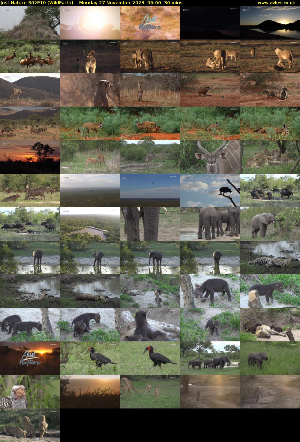 Just Nature S02E10 (WildEarth) Monday 27 November 2023 06:00 - 06:30