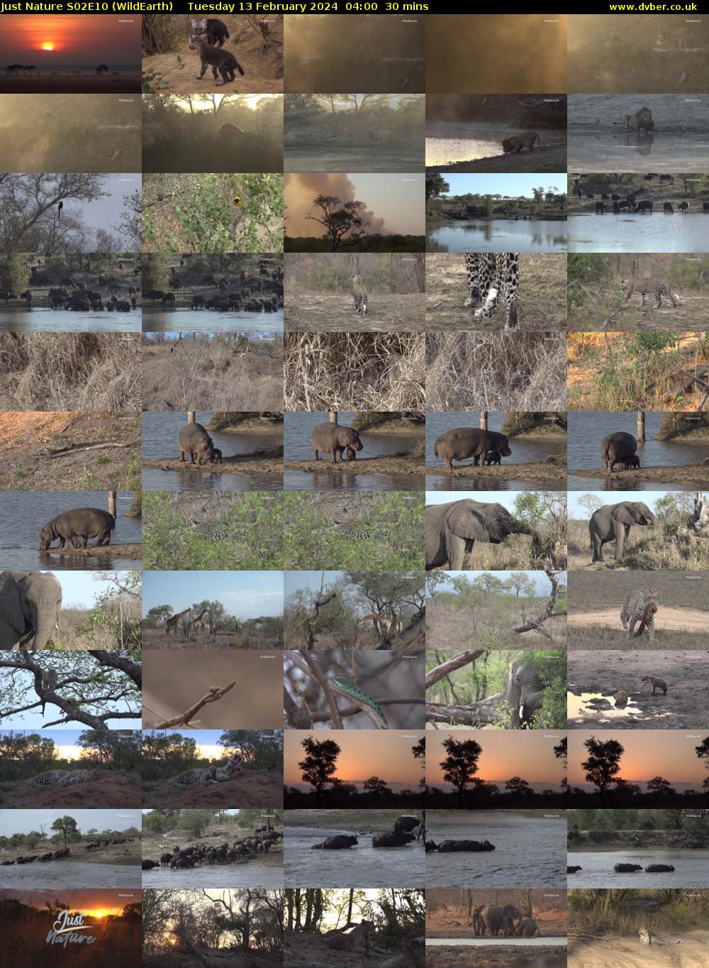 Just Nature S02E10 (WildEarth) Tuesday 13 February 2024 04:00 - 04:30