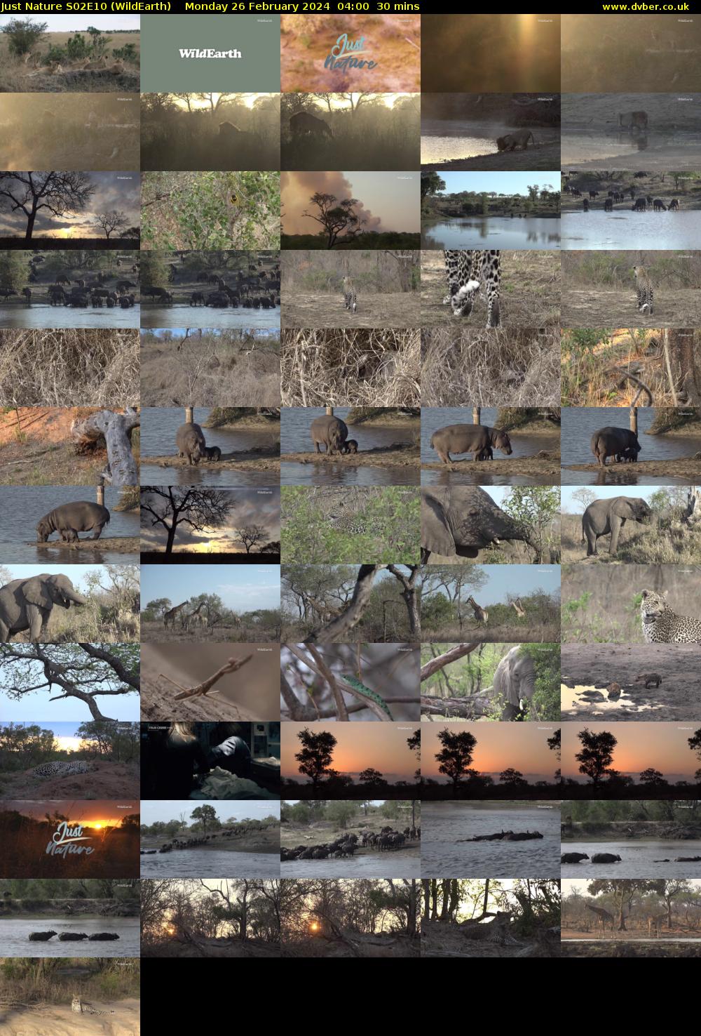 Just Nature S02E10 (WildEarth) Monday 26 February 2024 04:00 - 04:30