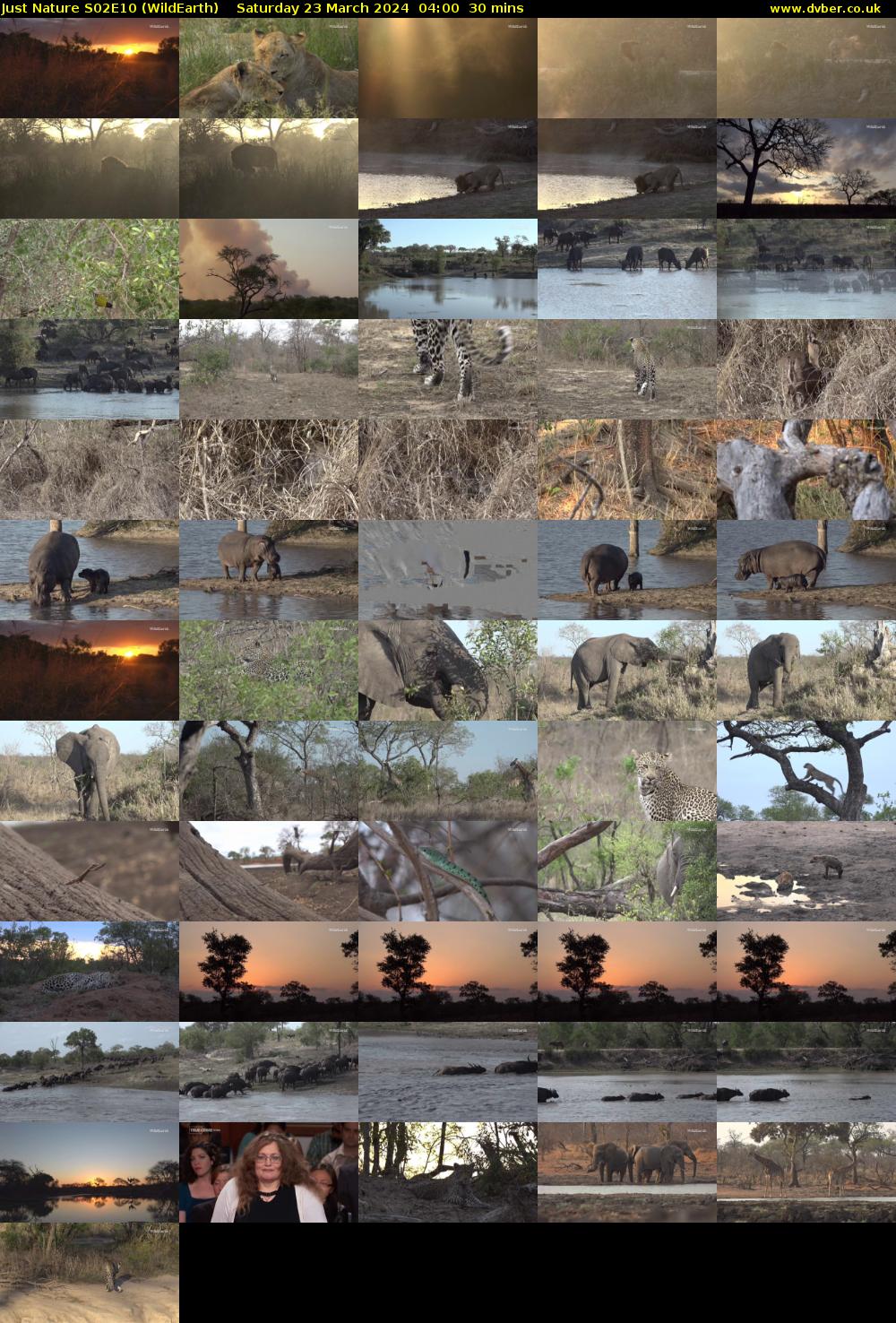 Just Nature S02E10 (WildEarth) Saturday 23 March 2024 04:00 - 04:30