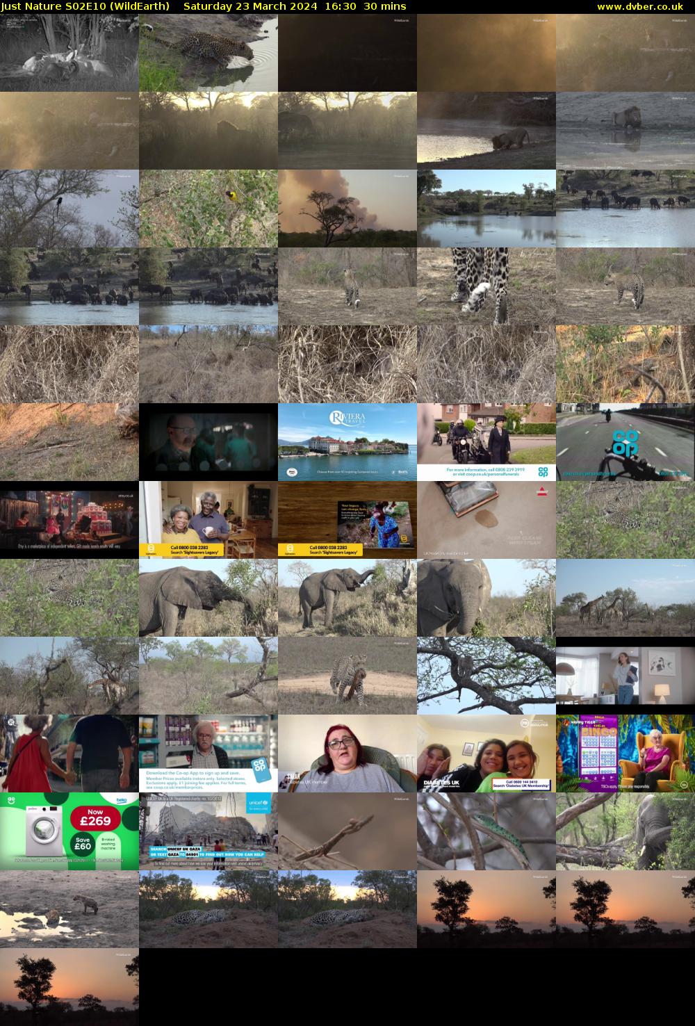 Just Nature S02E10 (WildEarth) Saturday 23 March 2024 16:30 - 17:00