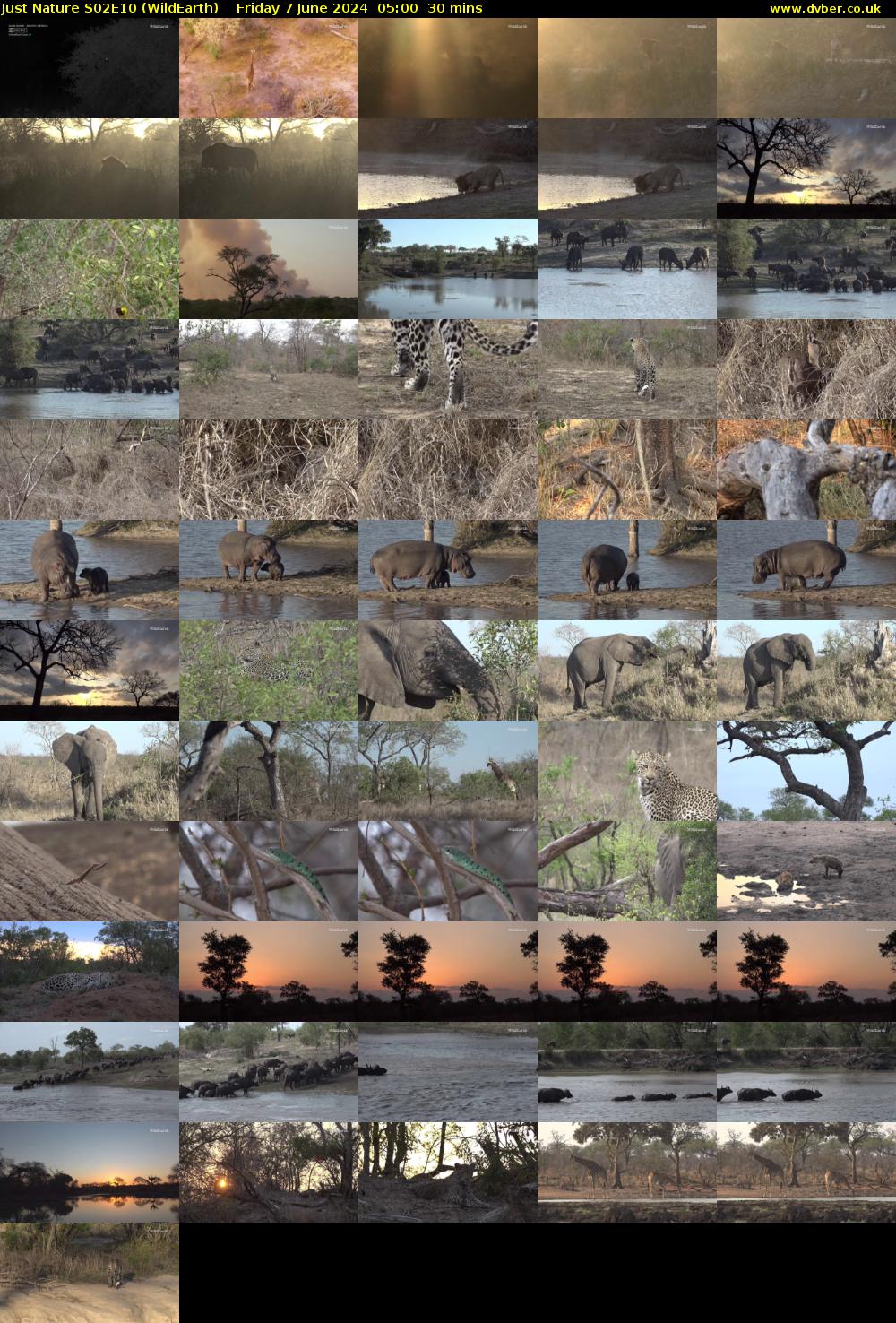 Just Nature S02E10 (WildEarth) Friday 7 June 2024 05:00 - 05:30