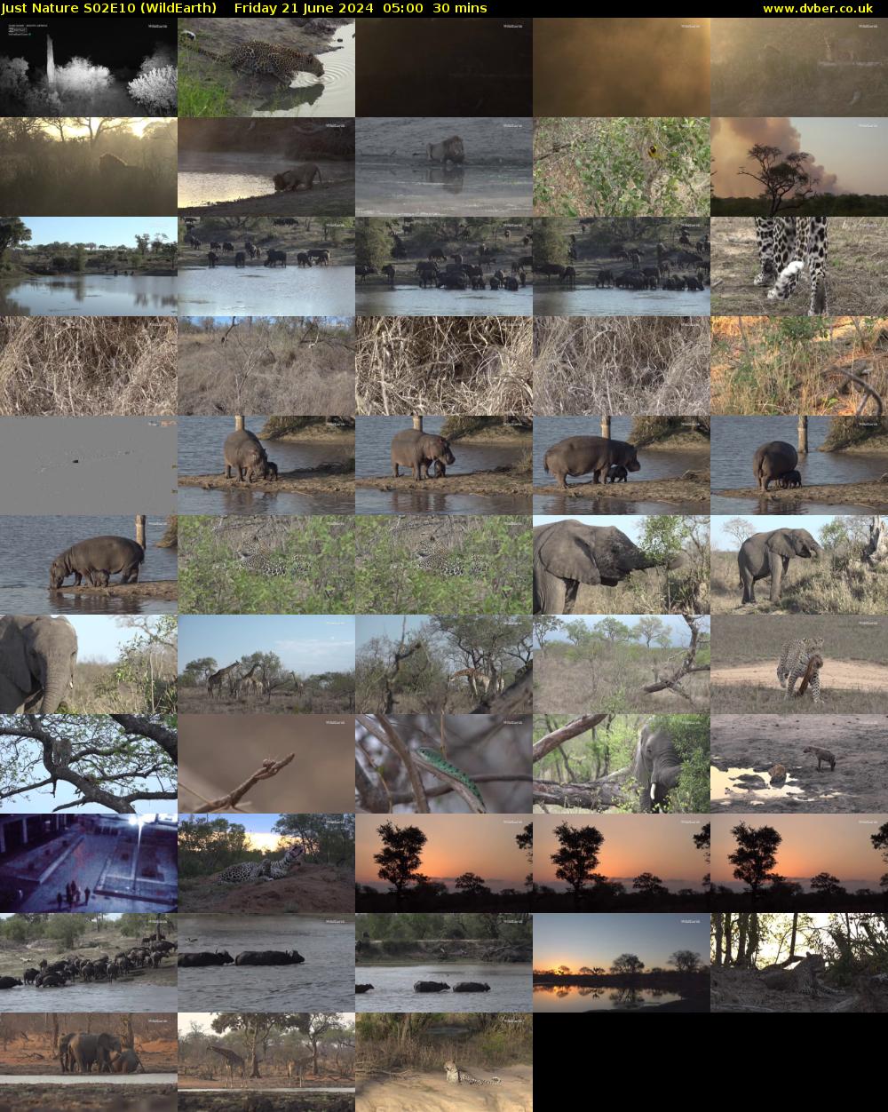 Just Nature S02E10 (WildEarth) Friday 21 June 2024 05:00 - 05:30