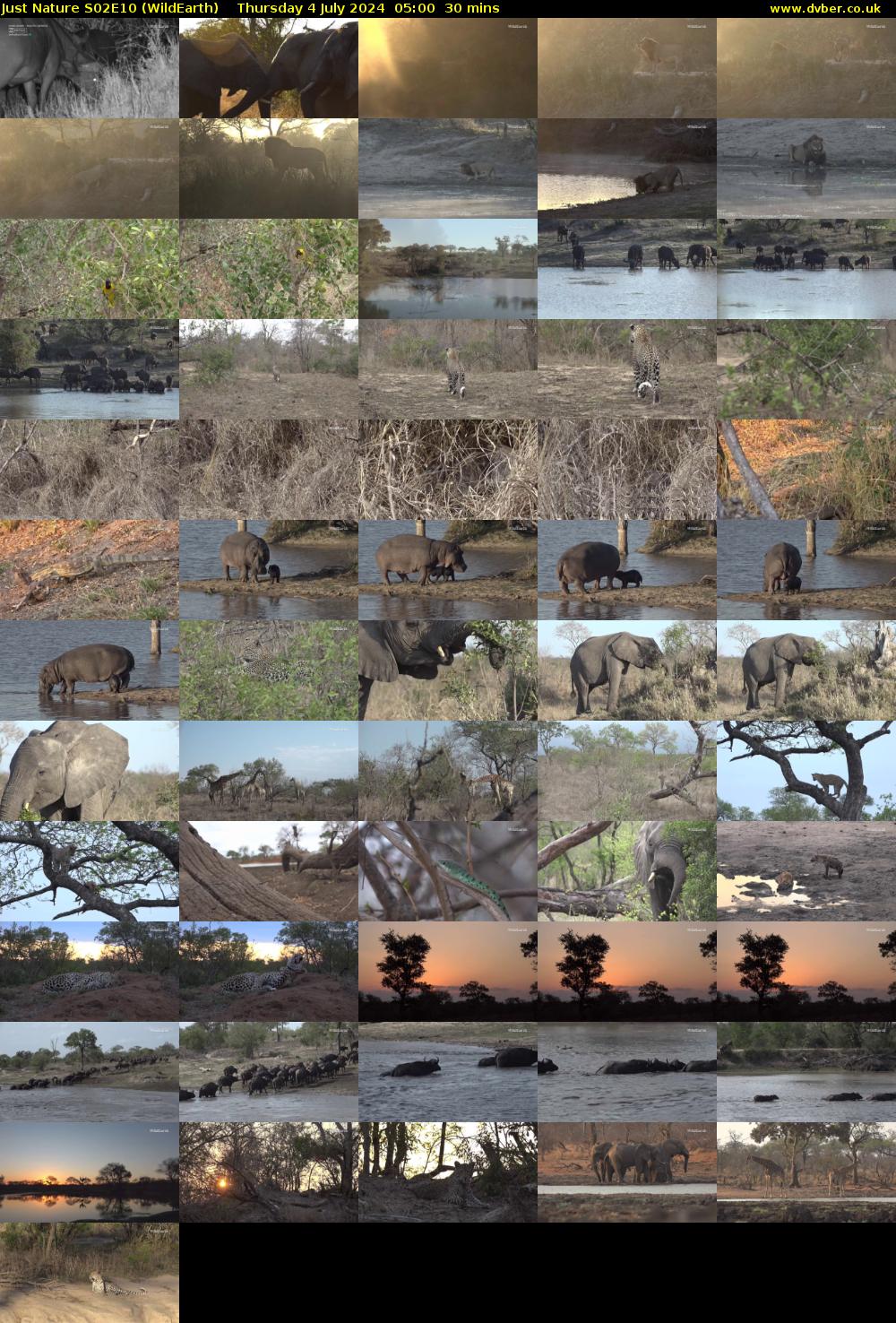 Just Nature S02E10 (WildEarth) Thursday 4 July 2024 05:00 - 05:30