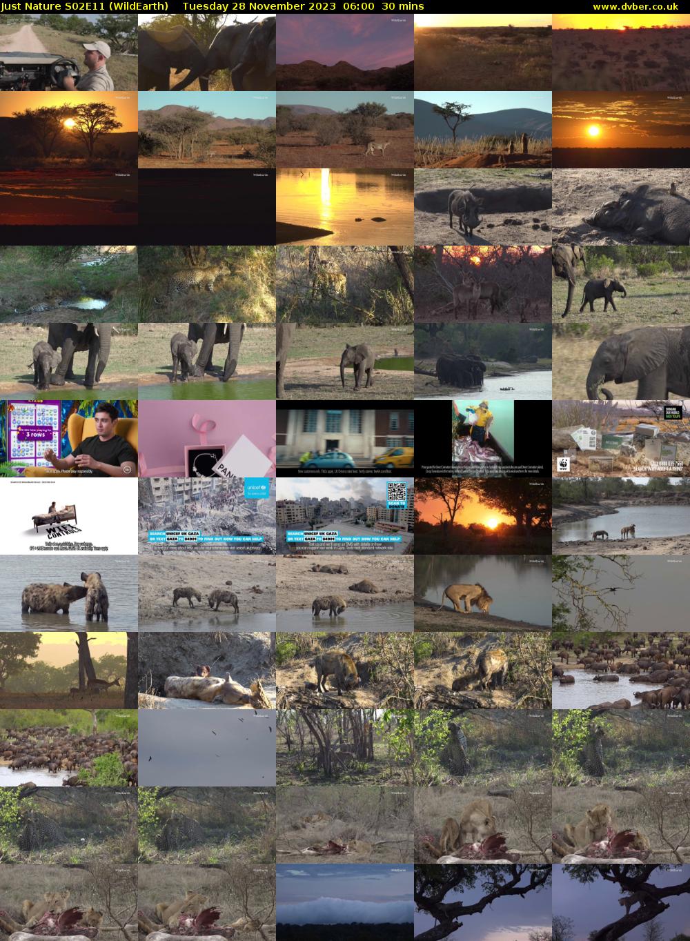 Just Nature S02E11 (WildEarth) Tuesday 28 November 2023 06:00 - 06:30