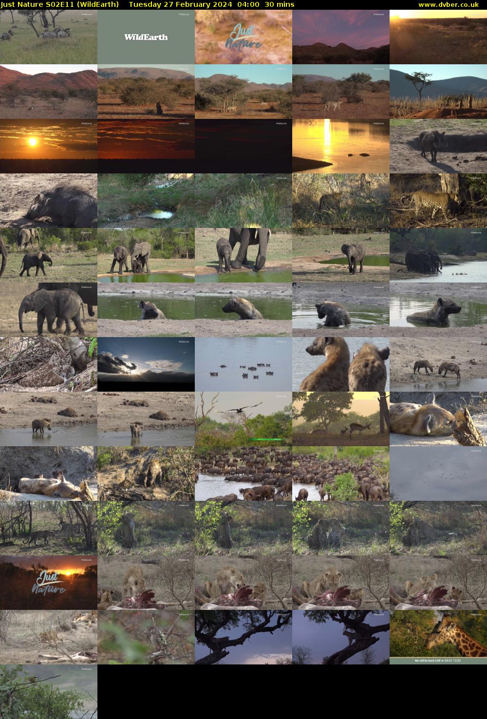 Just Nature S02E11 (WildEarth) Tuesday 27 February 2024 04:00 - 04:30