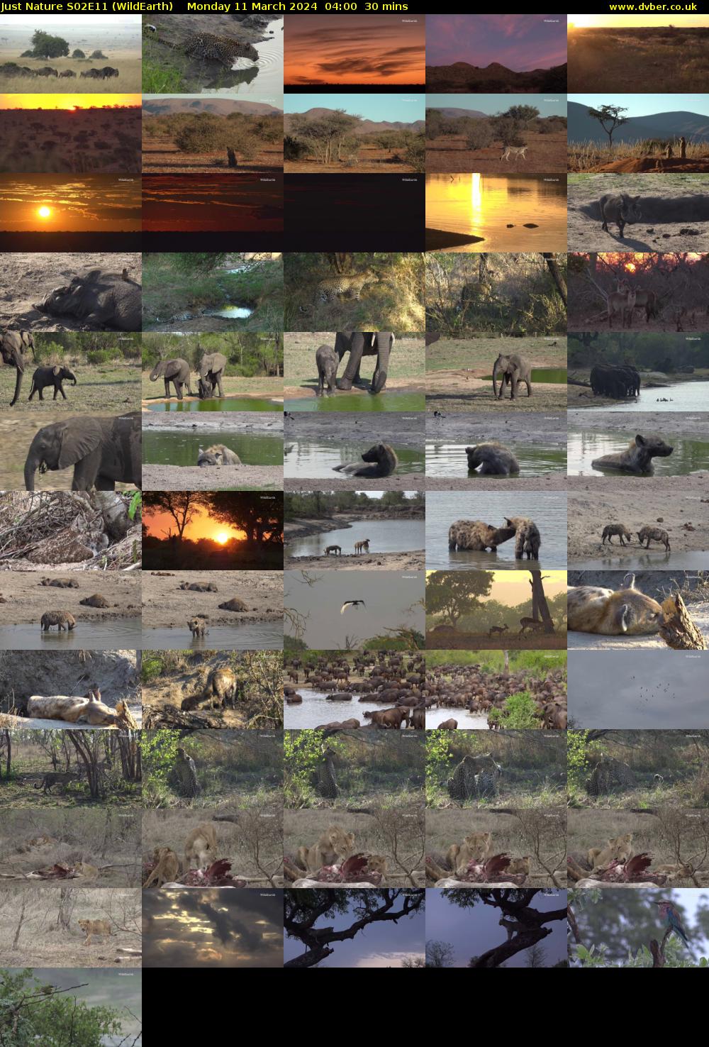 Just Nature S02E11 (WildEarth) Monday 11 March 2024 04:00 - 04:30
