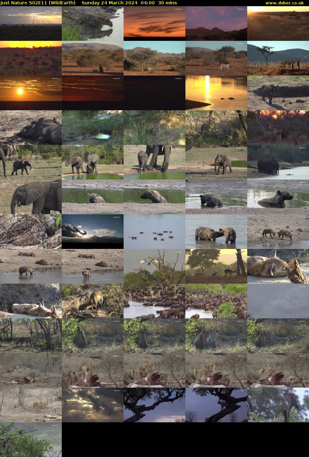 Just Nature S02E11 (WildEarth) Sunday 24 March 2024 04:00 - 04:30