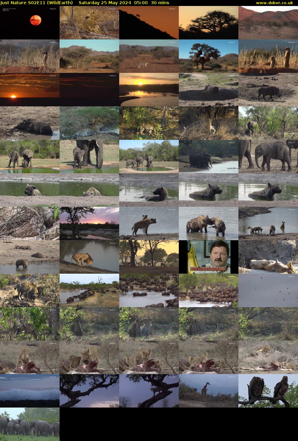 Just Nature S02E11 (WildEarth) Saturday 25 May 2024 05:00 - 05:30