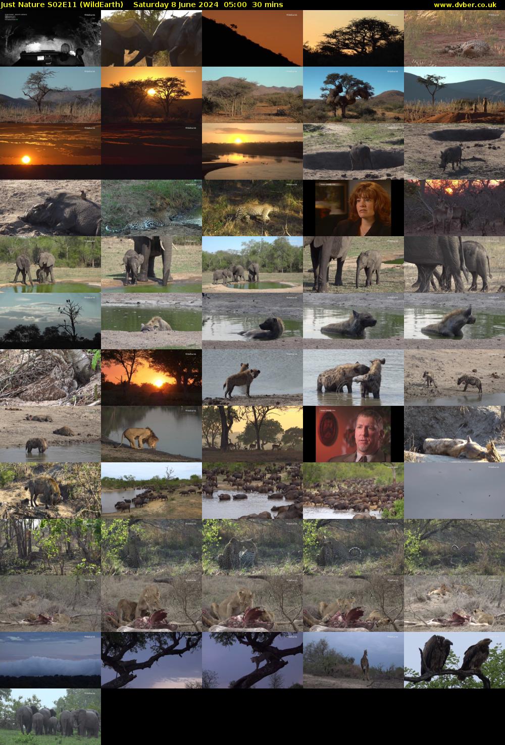 Just Nature S02E11 (WildEarth) Saturday 8 June 2024 05:00 - 05:30