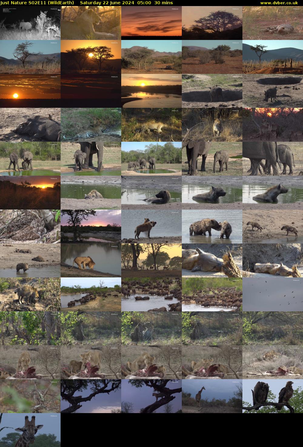 Just Nature S02E11 (WildEarth) Saturday 22 June 2024 05:00 - 05:30