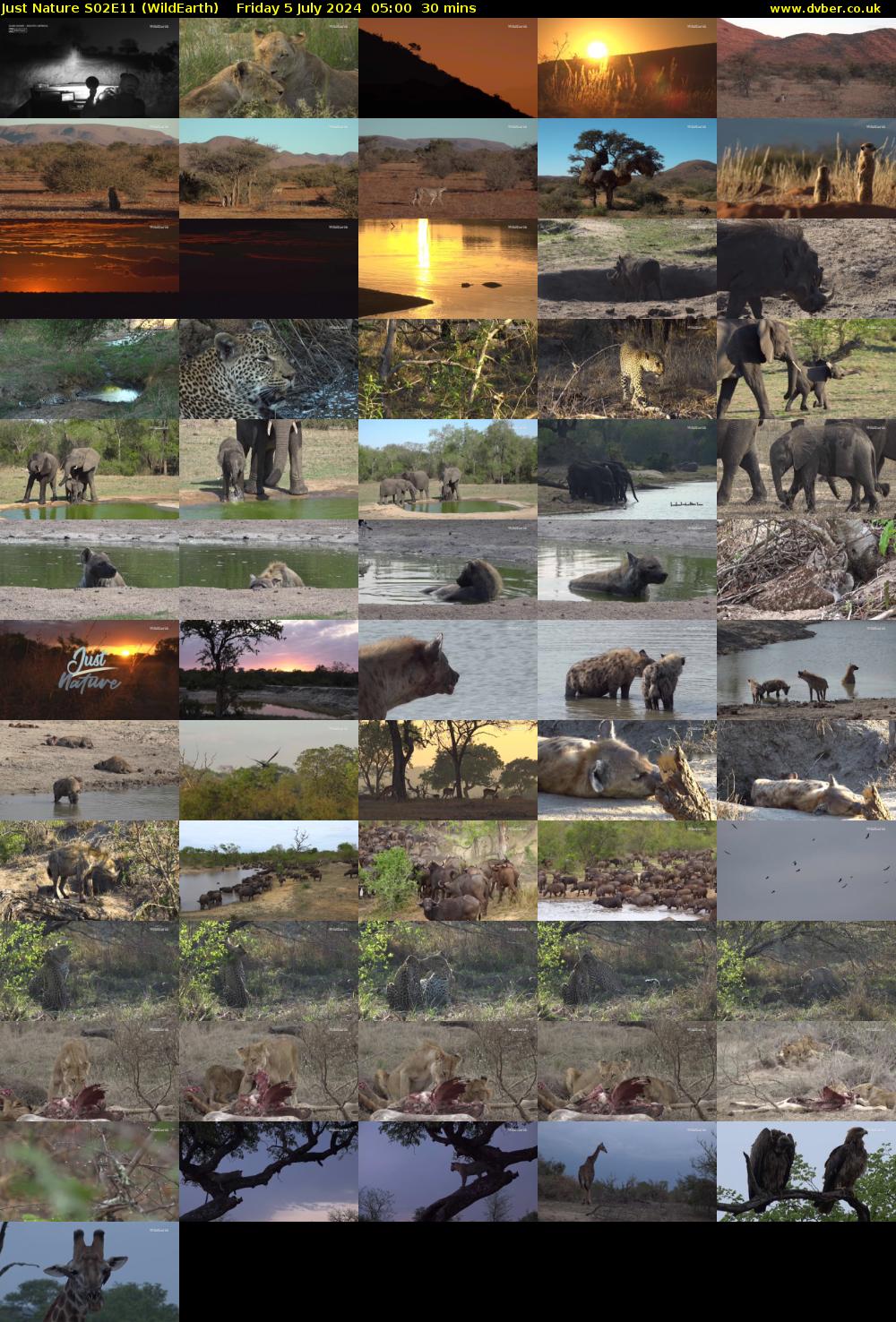 Just Nature S02E11 (WildEarth) Friday 5 July 2024 05:00 - 05:30