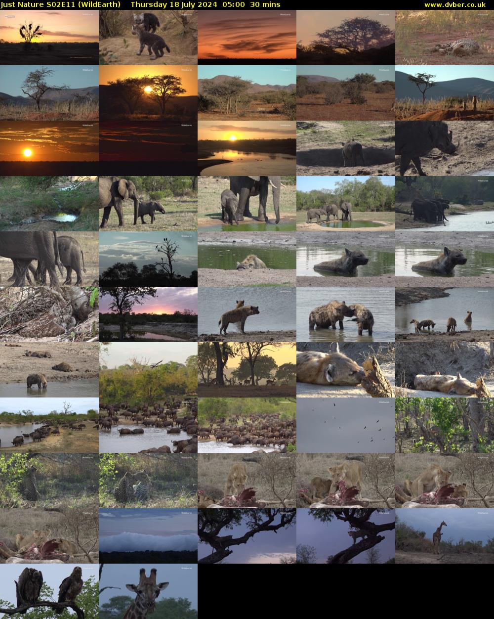 Just Nature S02E11 (WildEarth) Thursday 18 July 2024 05:00 - 05:30