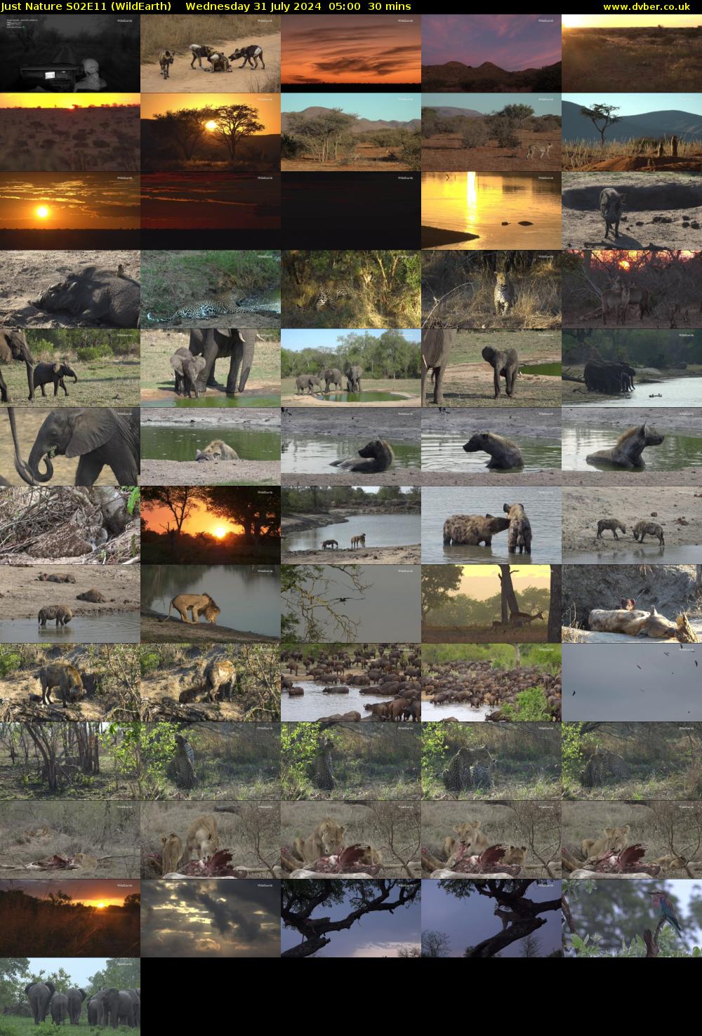 Just Nature S02E11 (WildEarth) Wednesday 31 July 2024 05:00 - 05:30