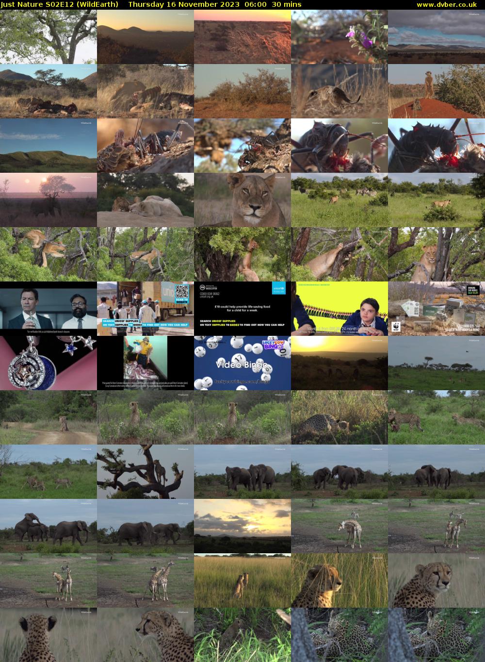Just Nature S02E12 (WildEarth) Thursday 16 November 2023 06:00 - 06:30