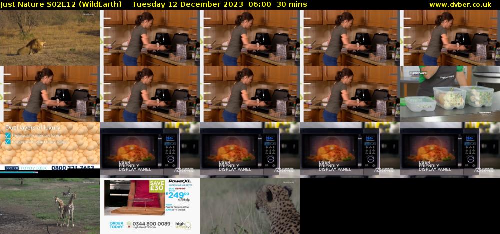 Just Nature S02E12 (WildEarth) Tuesday 12 December 2023 06:00 - 06:30