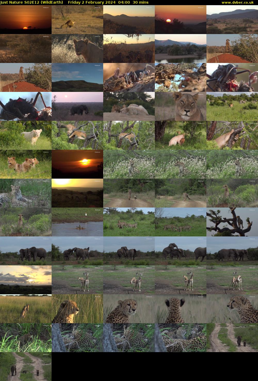 Just Nature S02E12 (WildEarth) Friday 2 February 2024 04:00 - 04:30