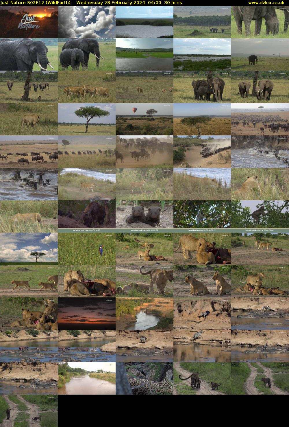 Just Nature S02E12 (WildEarth) Wednesday 28 February 2024 04:00 - 04:30