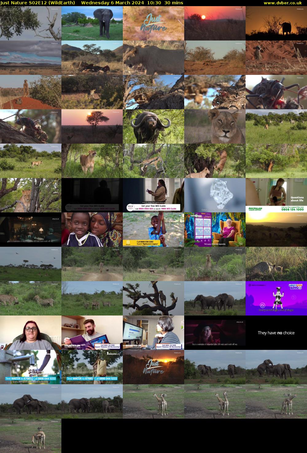 Just Nature S02E12 (WildEarth) Wednesday 6 March 2024 10:30 - 11:00
