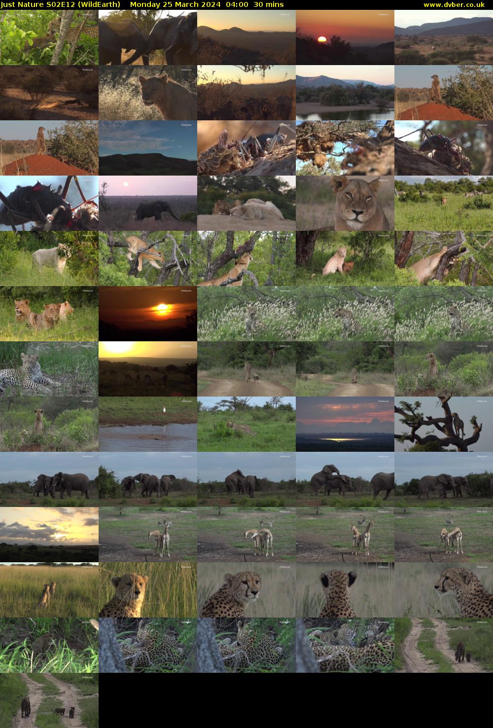 Just Nature S02E12 (WildEarth) Monday 25 March 2024 04:00 - 04:30
