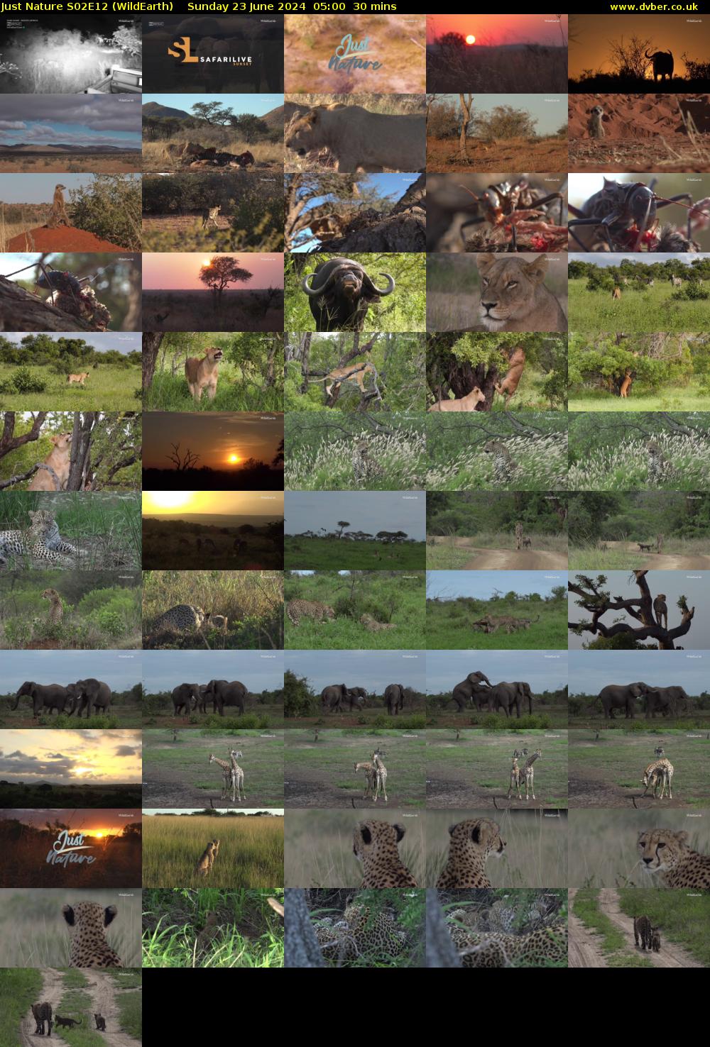 Just Nature S02E12 (WildEarth) Sunday 23 June 2024 05:00 - 05:30