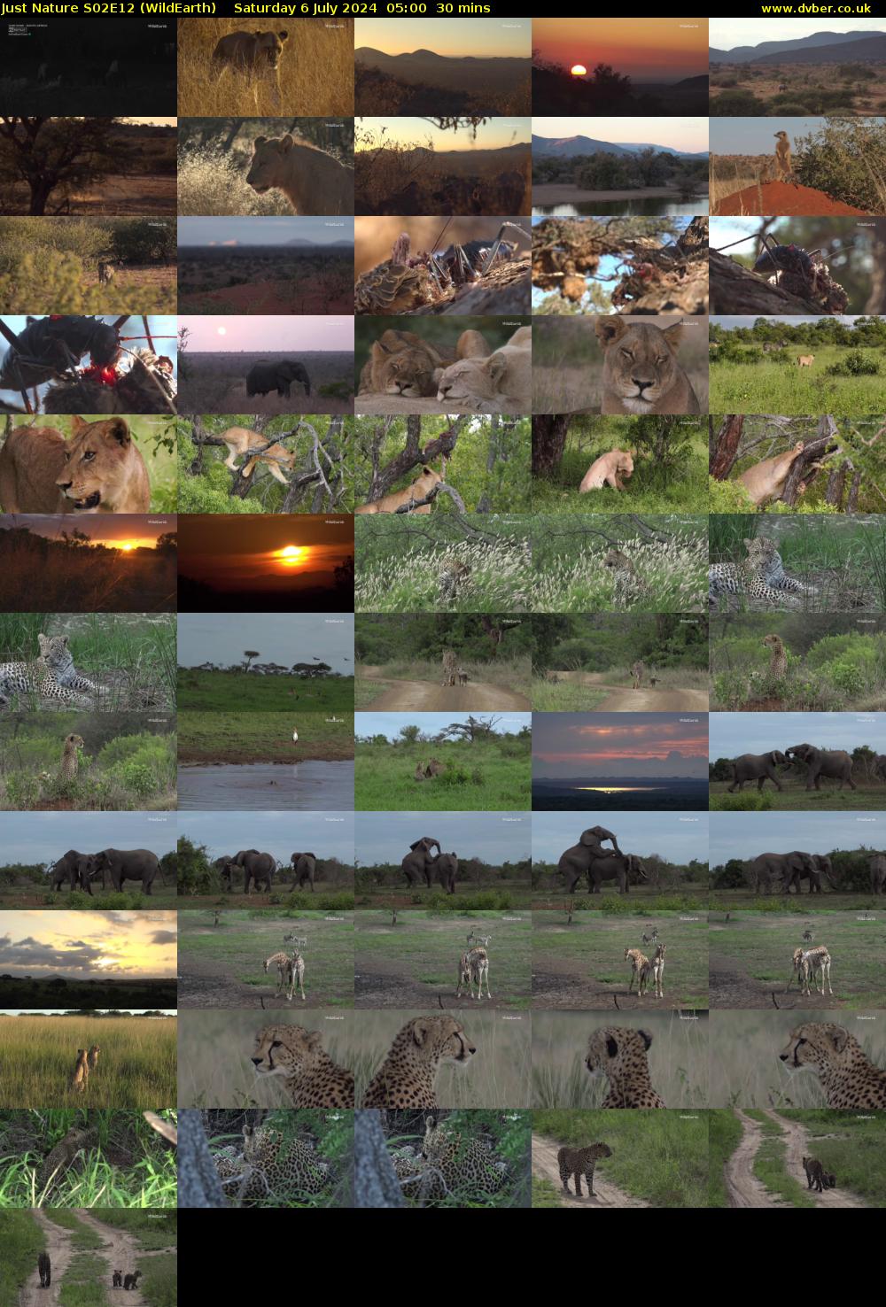 Just Nature S02E12 (WildEarth) Saturday 6 July 2024 05:00 - 05:30