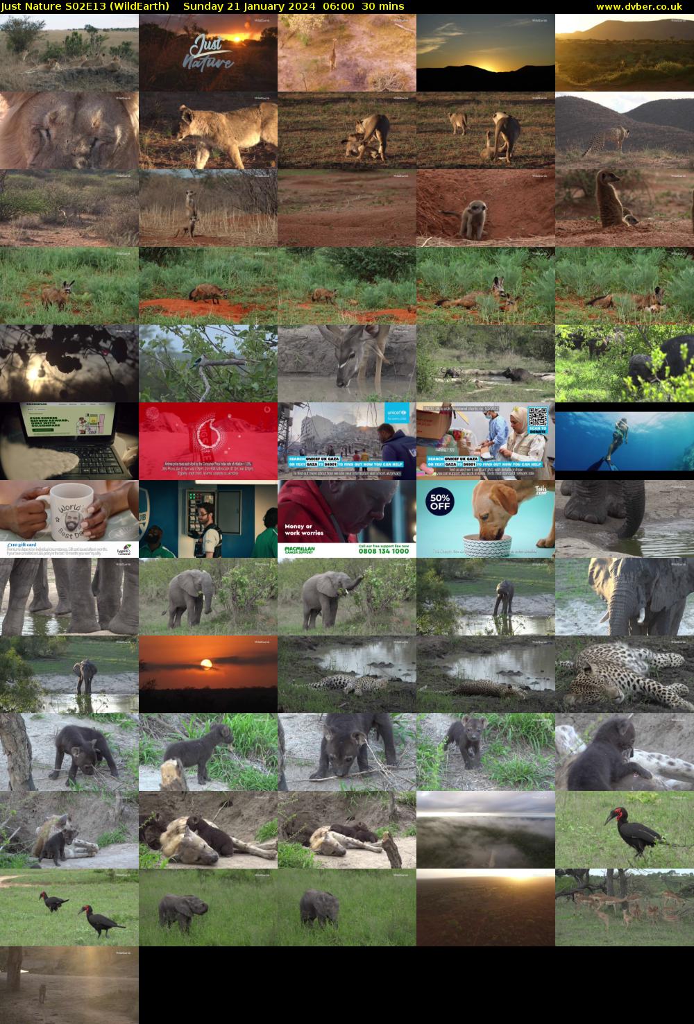 Just Nature S02E13 (WildEarth) Sunday 21 January 2024 06:00 - 06:30
