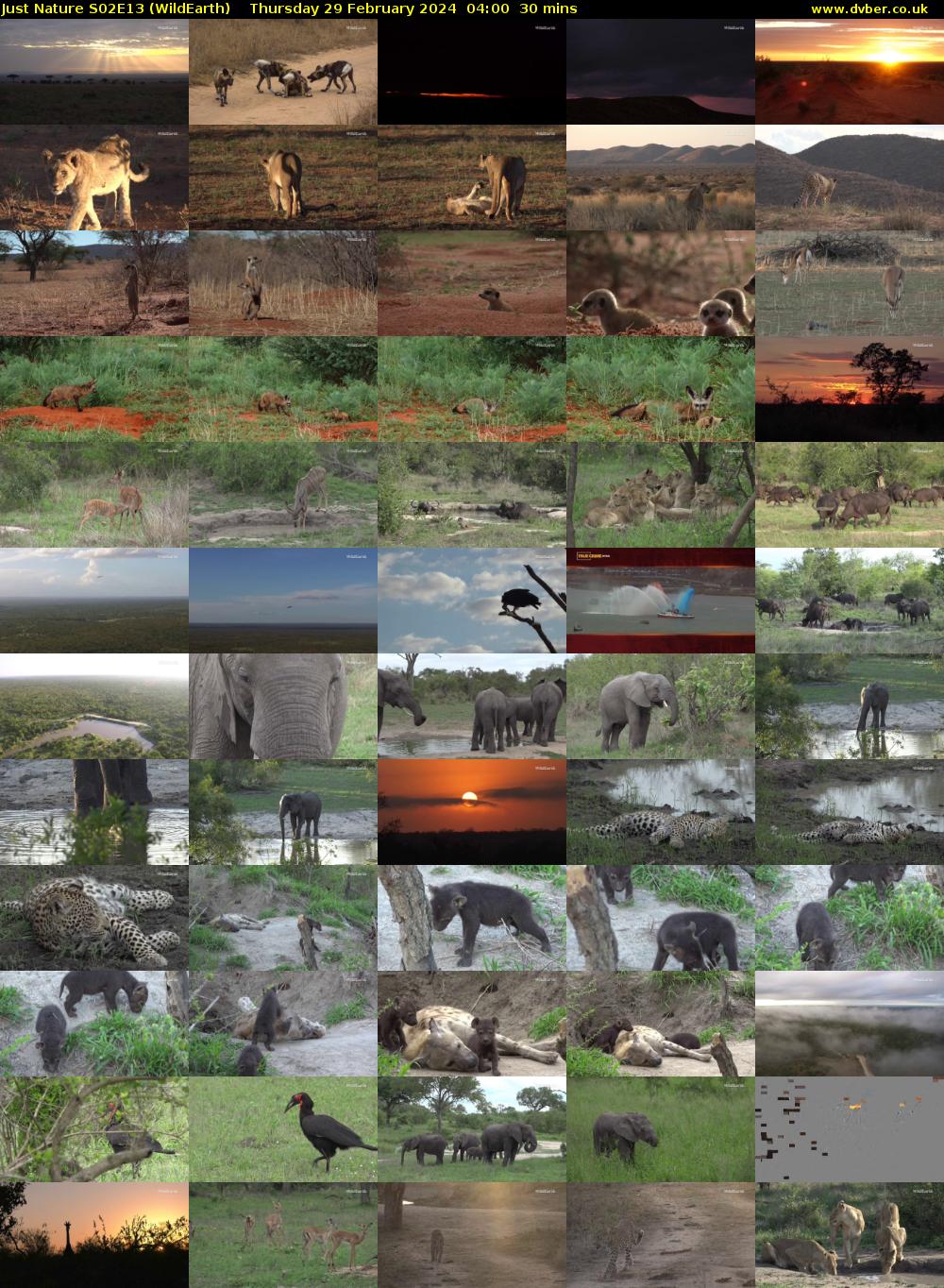 Just Nature S02E13 (WildEarth) Thursday 29 February 2024 04:00 - 04:30