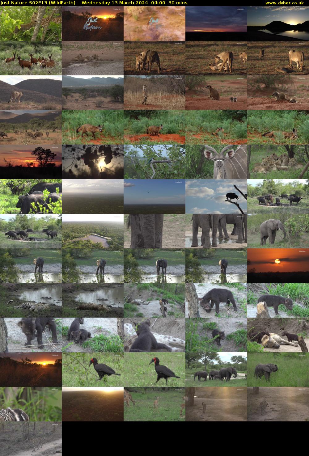 Just Nature S02E13 (WildEarth) Wednesday 13 March 2024 04:00 - 04:30