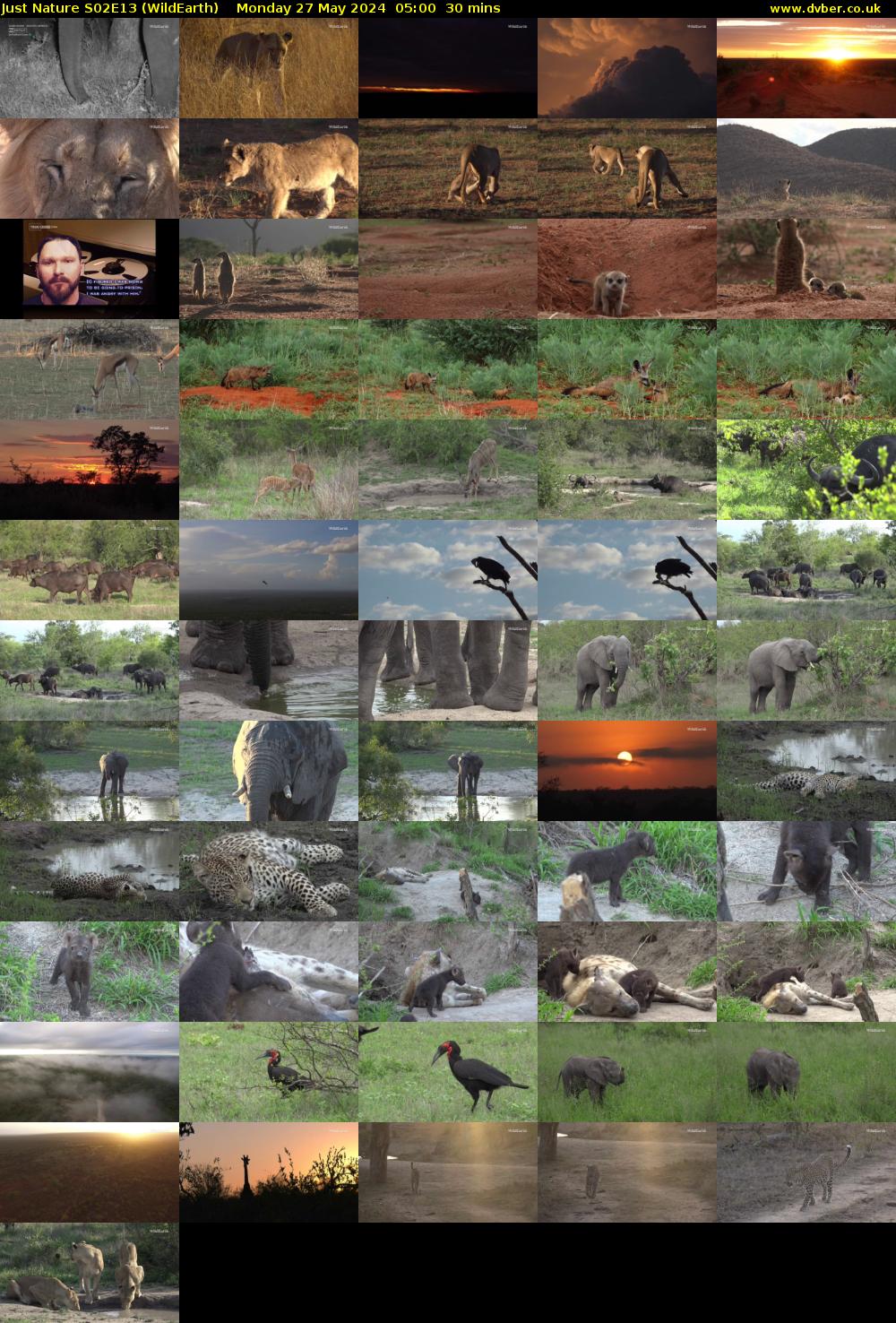Just Nature S02E13 (WildEarth) Monday 27 May 2024 05:00 - 05:30