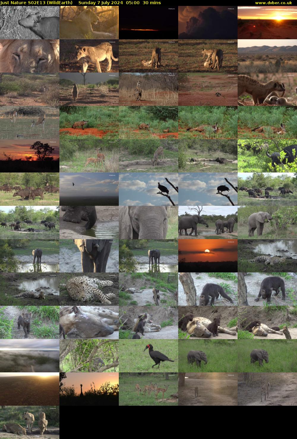 Just Nature S02E13 (WildEarth) Sunday 7 July 2024 05:00 - 05:30