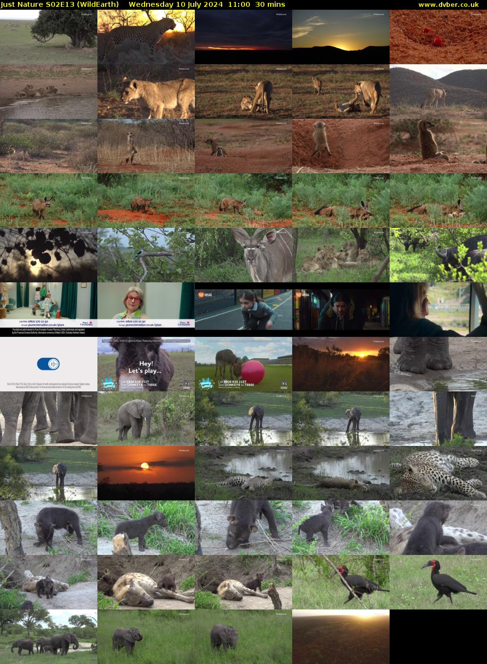 Just Nature S02E13 (WildEarth) Wednesday 10 July 2024 11:00 - 11:30