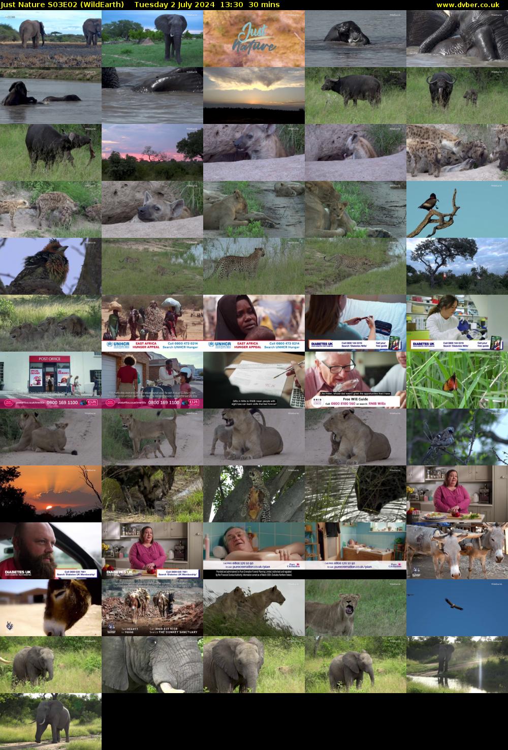 Just Nature S03E02 (WildEarth) Tuesday 2 July 2024 13:30 - 14:00