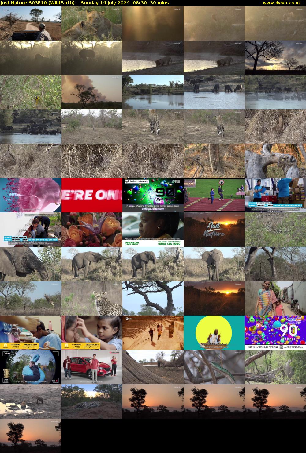 Just Nature S03E10 (WildEarth) Sunday 14 July 2024 08:30 - 09:00