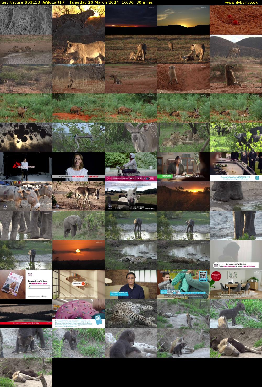 Just Nature S03E13 (WildEarth) Tuesday 26 March 2024 16:30 - 17:00