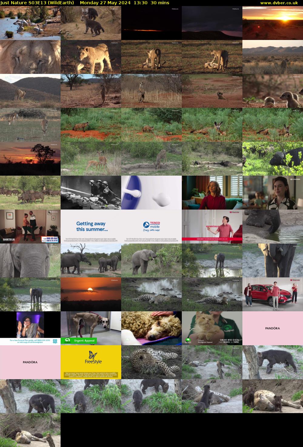 Just Nature S03E13 (WildEarth) Monday 27 May 2024 13:30 - 14:00