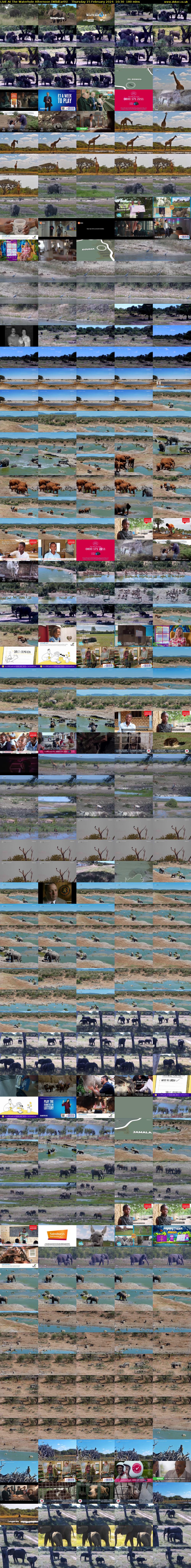 LIVE At The Waterhole Afternoon (WildEarth) Thursday 15 February 2024 10:30 - 13:30
