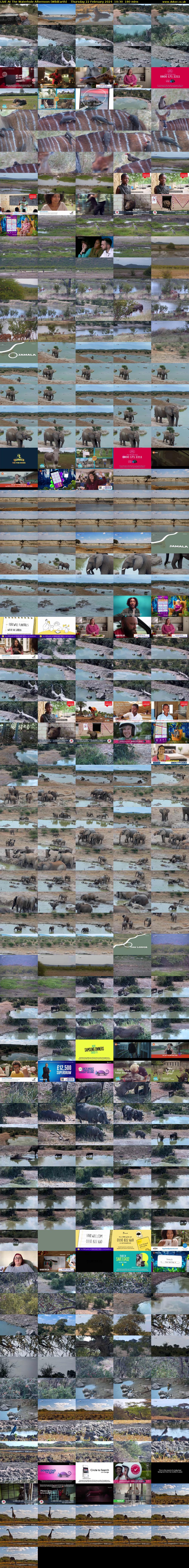 LIVE At The Waterhole Afternoon (WildEarth) Thursday 22 February 2024 10:30 - 13:30