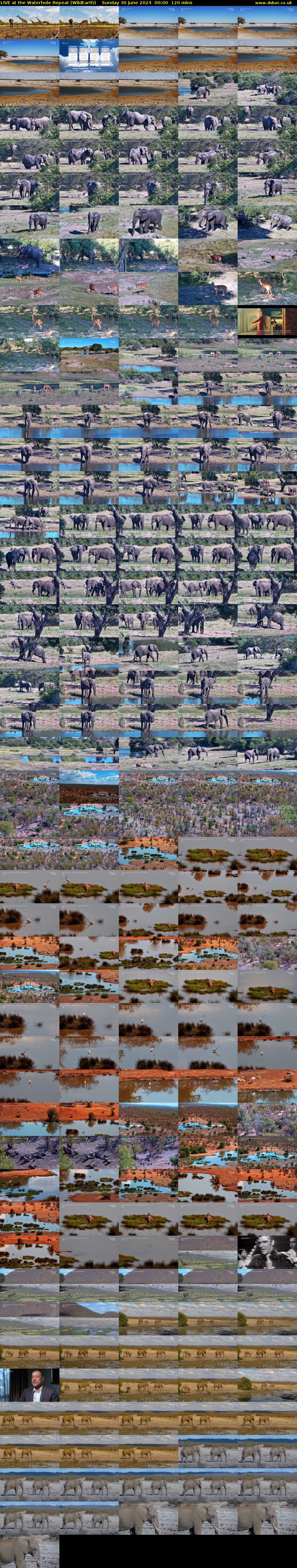 LIVE at the Waterhole Repeat (WildEarth) Sunday 30 June 2024 00:00 - 02:00