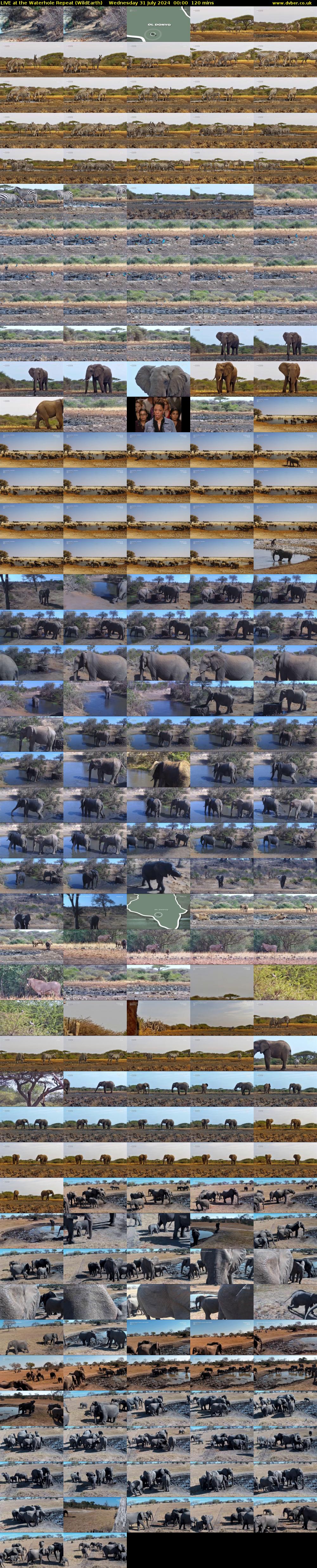 LIVE at the Waterhole Repeat (WildEarth) Wednesday 31 July 2024 00:00 - 02:00
