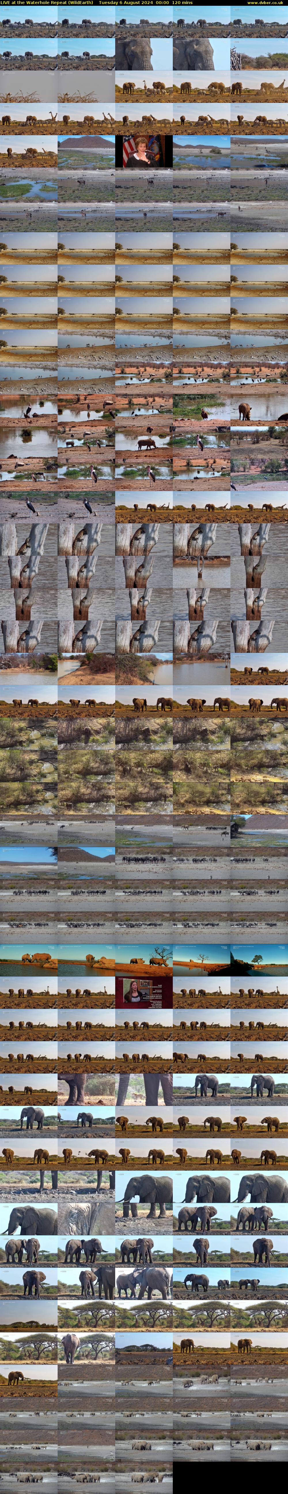 LIVE at the Waterhole Repeat (WildEarth) Tuesday 6 August 2024 00:00 - 02:00