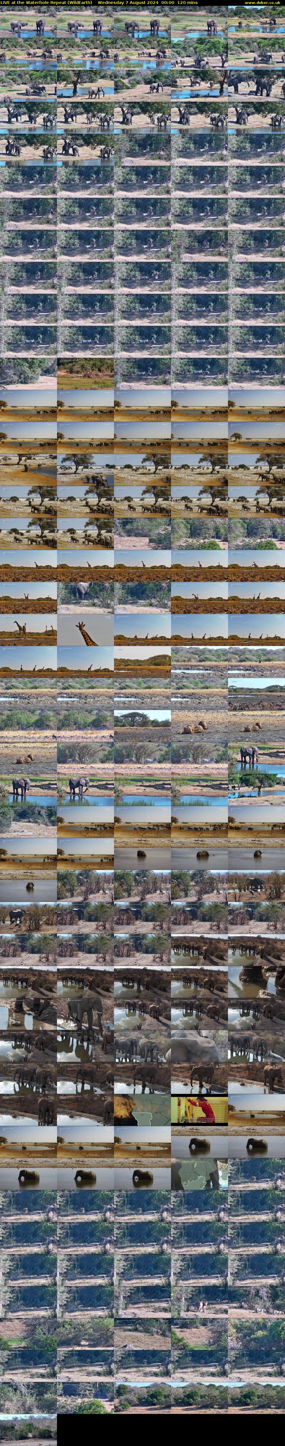 LIVE at the Waterhole Repeat (WildEarth) Wednesday 7 August 2024 00:00 - 02:00