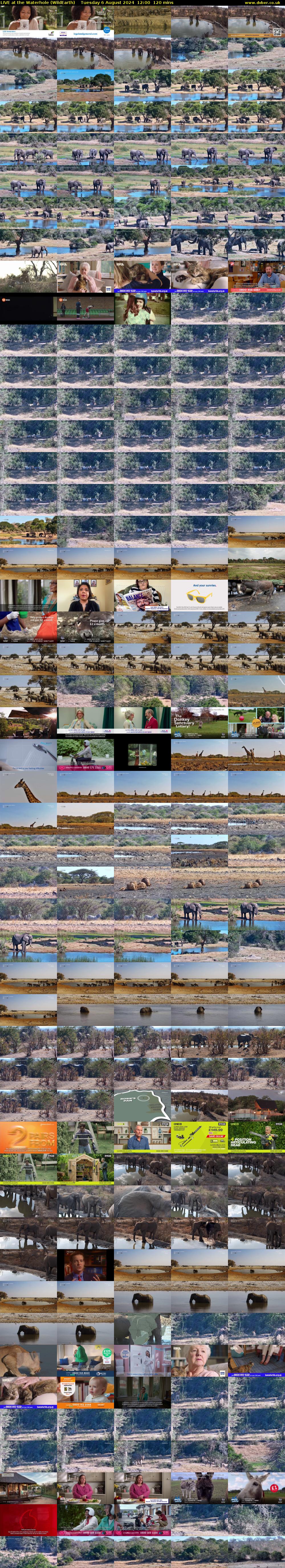 LIVE at the Waterhole (WildEarth) Tuesday 6 August 2024 12:00 - 14:00