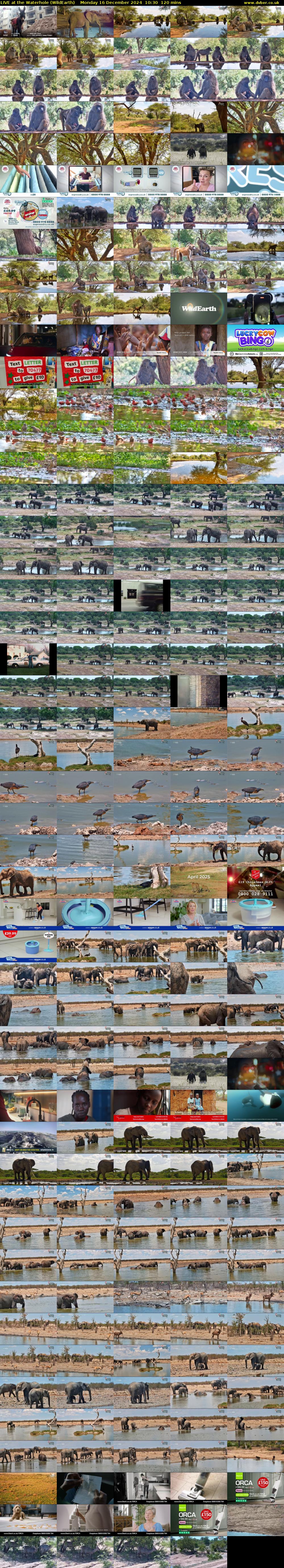 LIVE at the Waterhole (WildEarth) Monday 16 December 2024 10:30 - 12:30