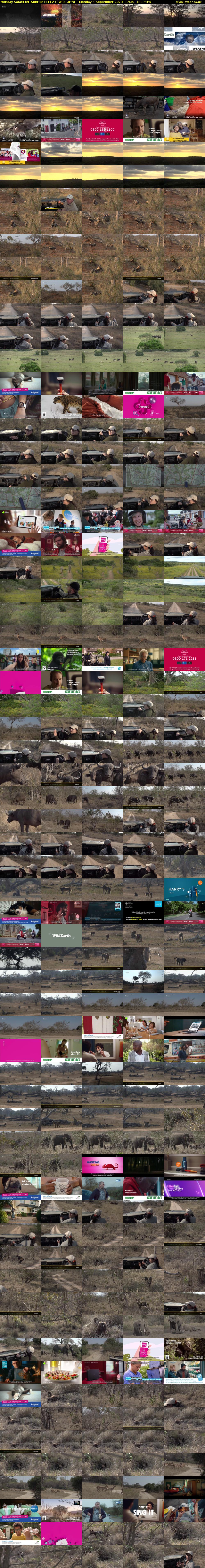Monday SafariLIVE Sunrise REPEAT (WildEarth) Monday 4 September 2023 17:30 - 20:30
