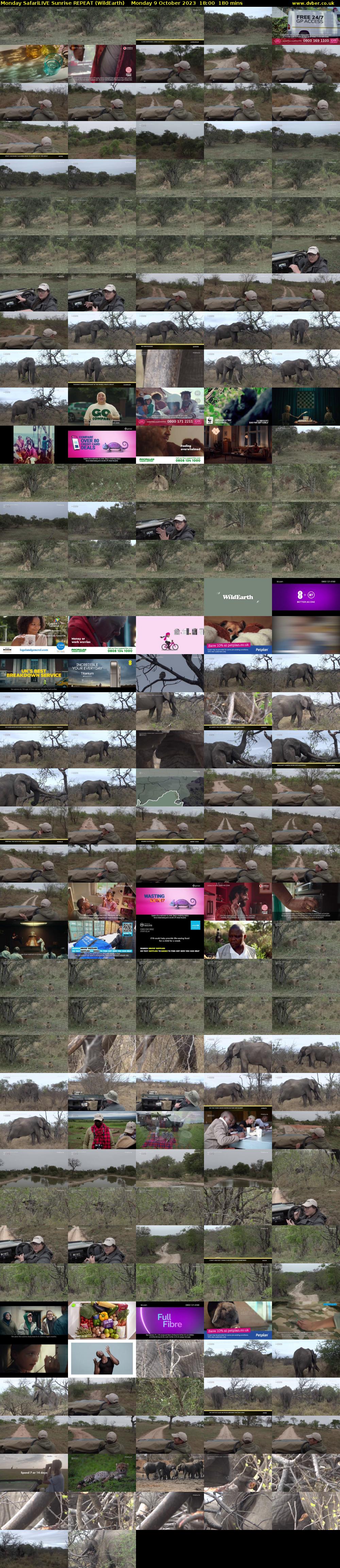 Monday SafariLIVE Sunrise REPEAT (WildEarth) Monday 9 October 2023 18:00 - 21:00
