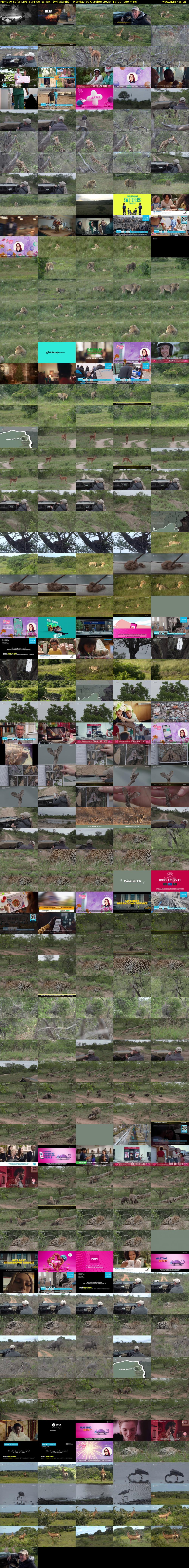 Monday SafariLIVE Sunrise REPEAT (WildEarth) Monday 30 October 2023 17:00 - 20:00